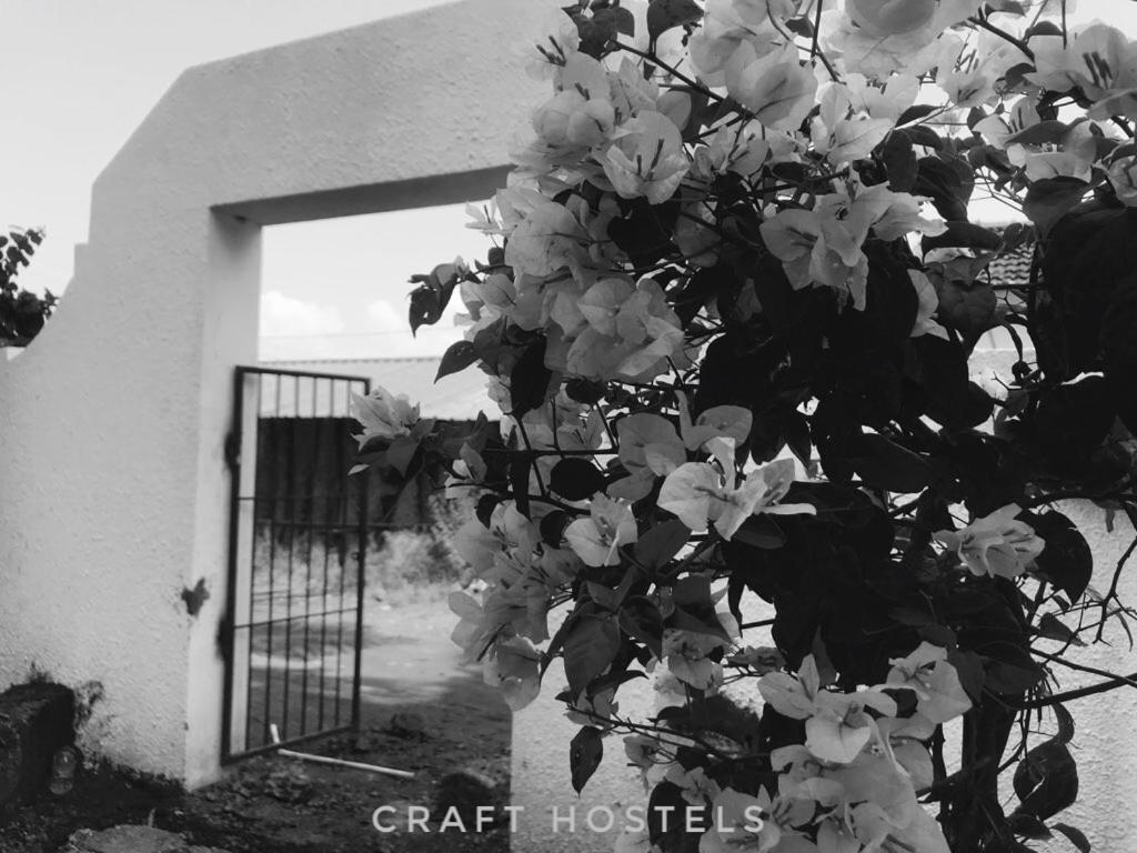 Craft Hostels 安君纳 外观 照片
